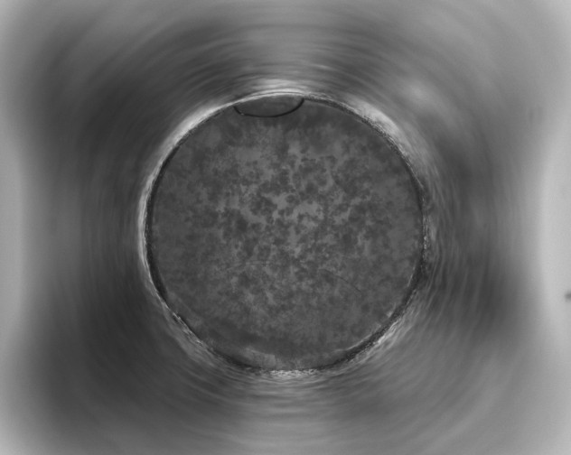 X0000096491427200801241455