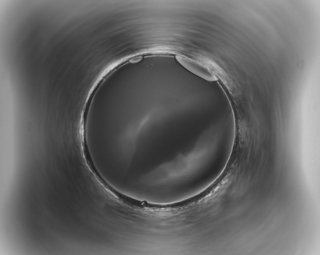 X0000096491428200801241455
