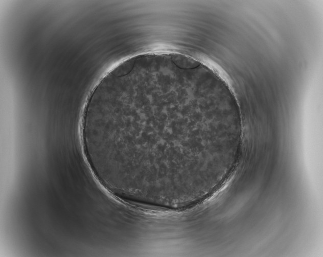 X0000096491429200801241455