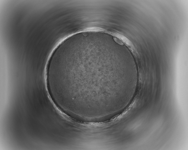 X0000096491430200801241455