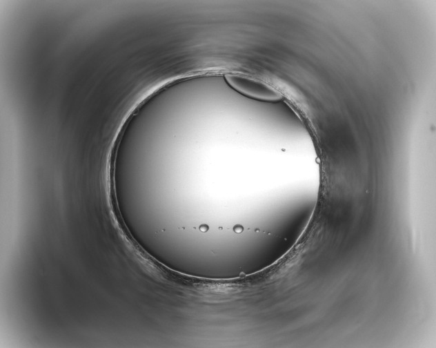 X0000096491431200801241455