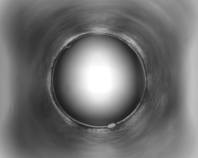 X0000096491432200801241455