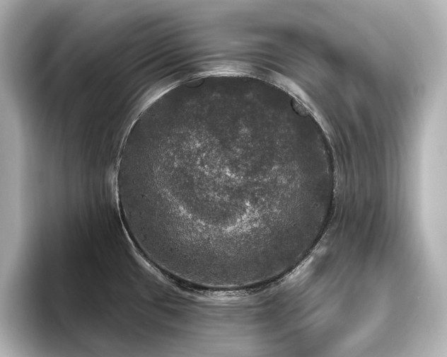 X0000096491433200801241455