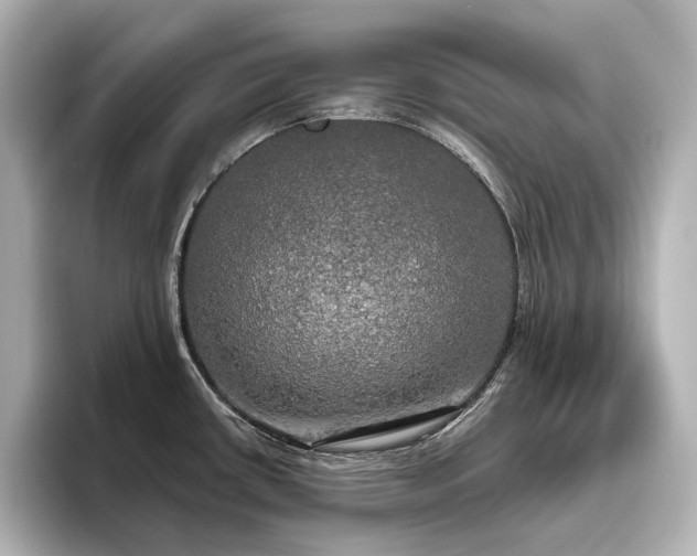 X0000096491434200801241455