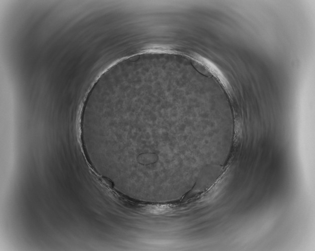 X0000096491435200801241455