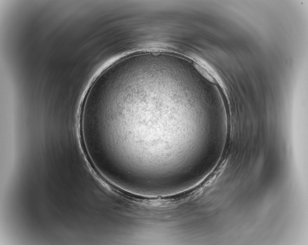 X0000096491437200801241455