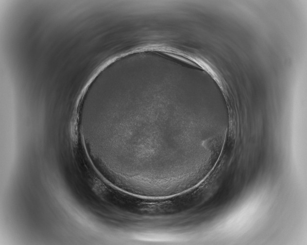 X0000096491438200801241455