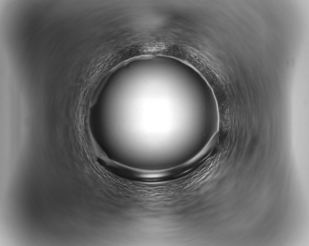 X0000096491441200801241455