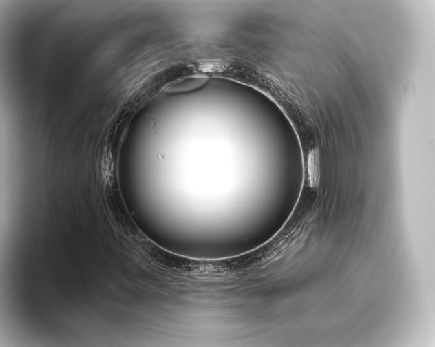 X0000096491443200801241455