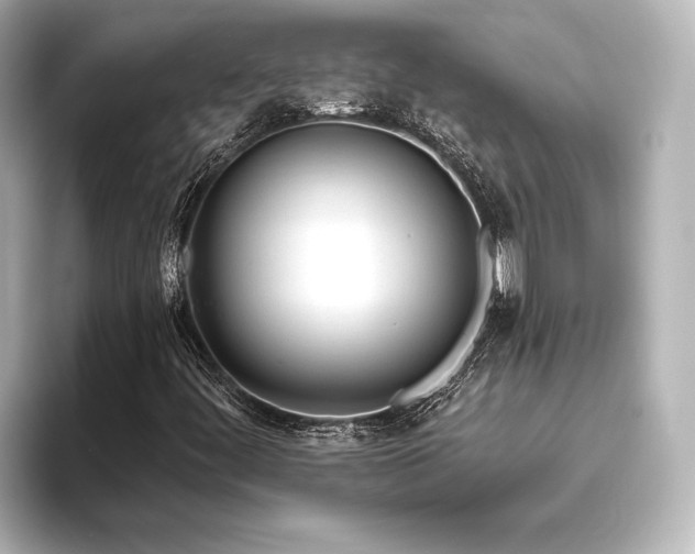 X0000096491444200801241455