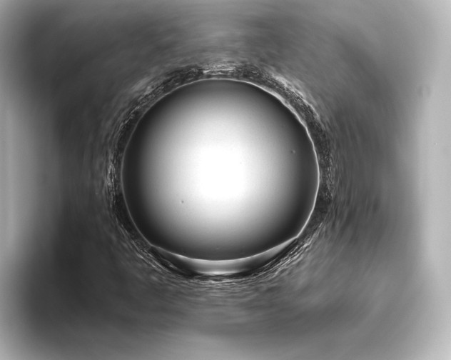 X0000096491445200801241455