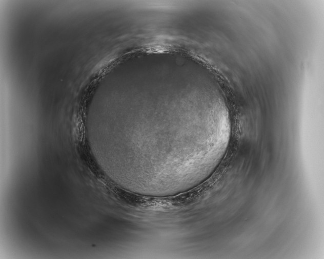X0000096491446200801241455