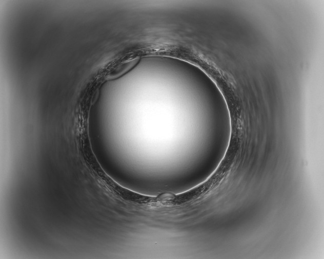 X0000096491447200801241455