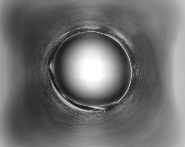 X0000096491448200801241455