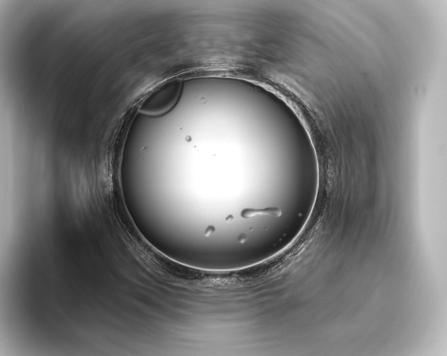 X0000096491451200801241455