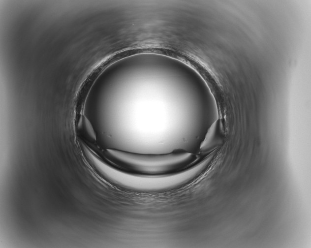 X0000096491452200801241455