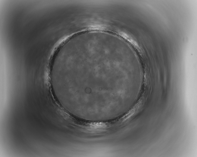 X0000096491454200801241455