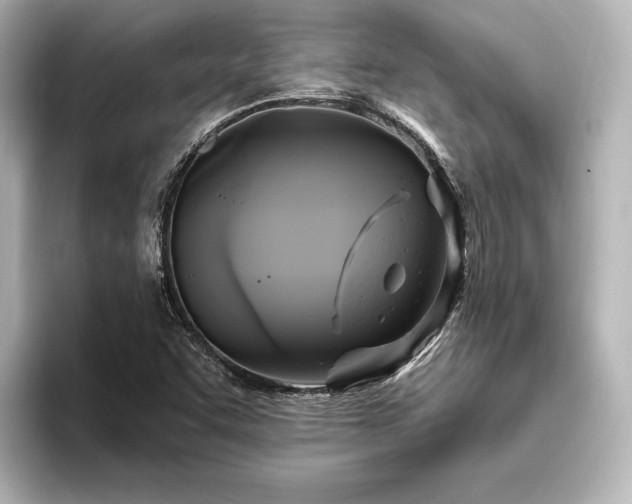 X0000096491455200801241455