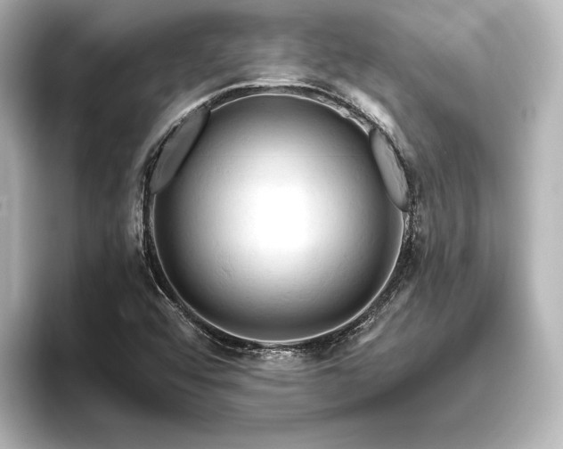 X0000096491456200801241455