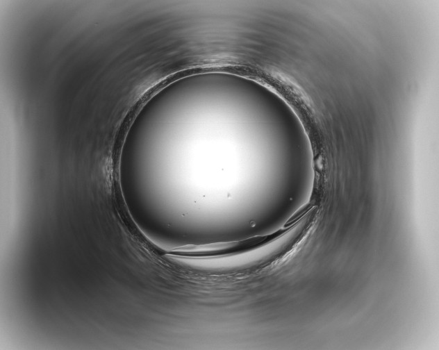 X0000096491457200801241455