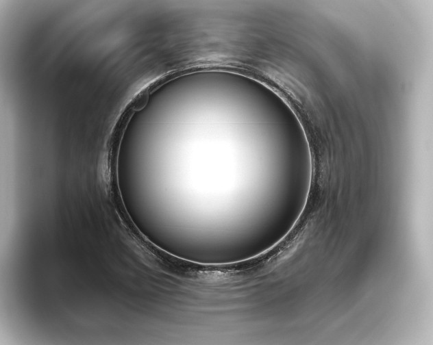 X0000096491458200801241455