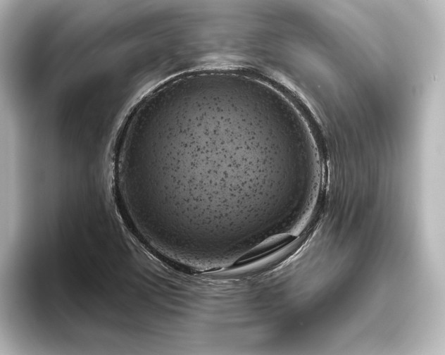 X0000096491459200801241455