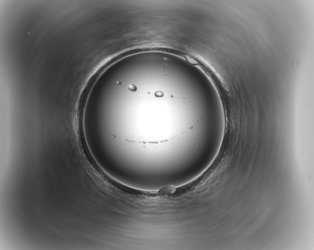 X0000096491460200801241455