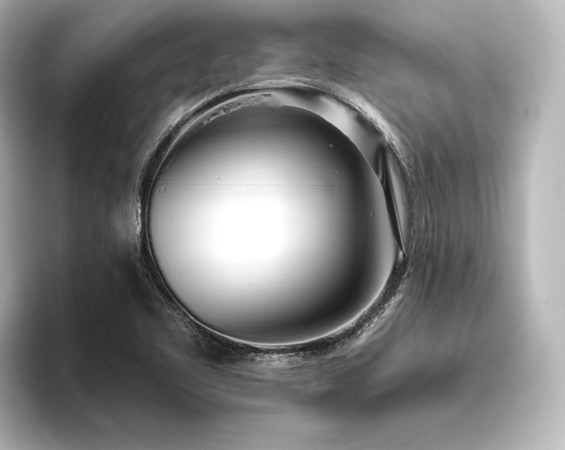 X0000096491461200801241455