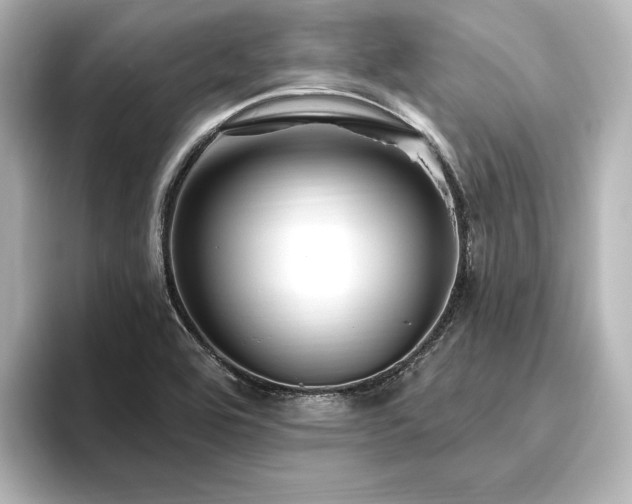 X0000096491464200801241455