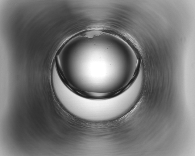 X0000096491465200801241455