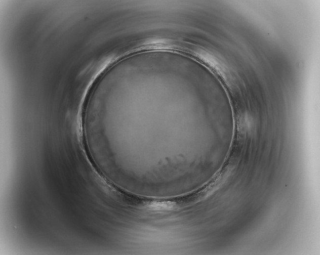 X0000096491466200801241455