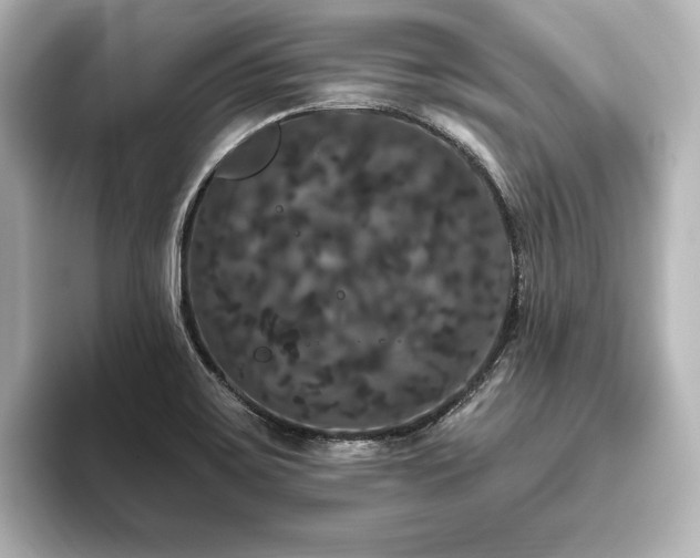 X0000096491467200801241454
