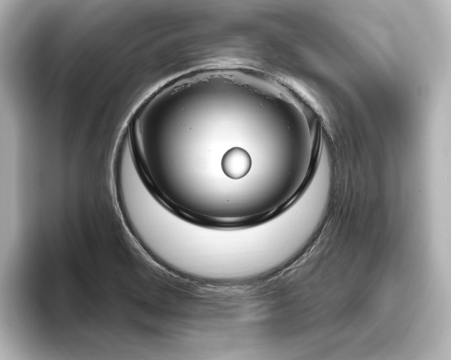 X0000096491468200801241454
