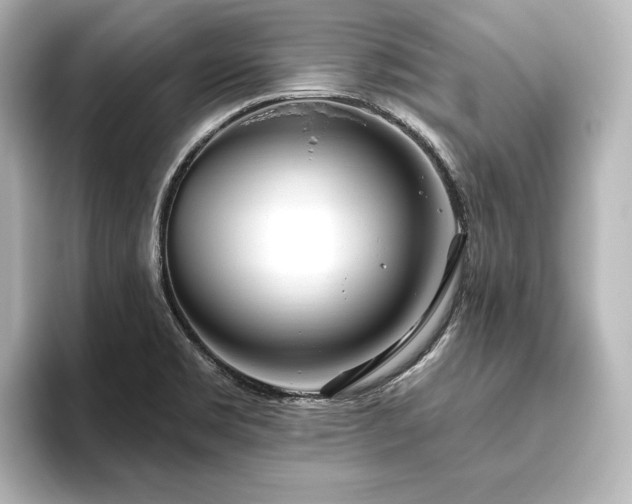 X0000096491469200801241454