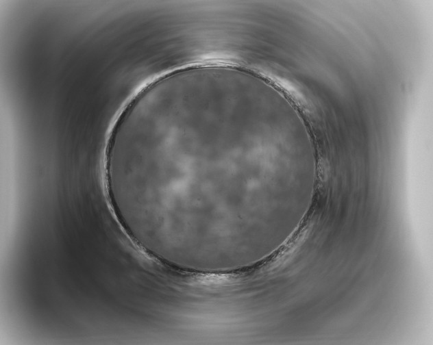 X0000096491470200801241454