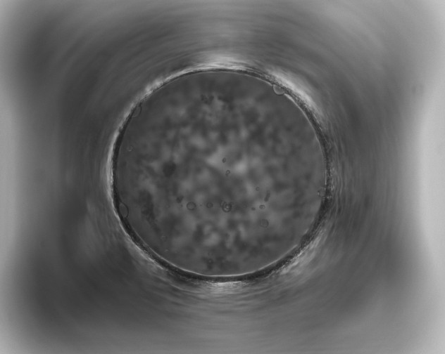 X0000096491471200801241454