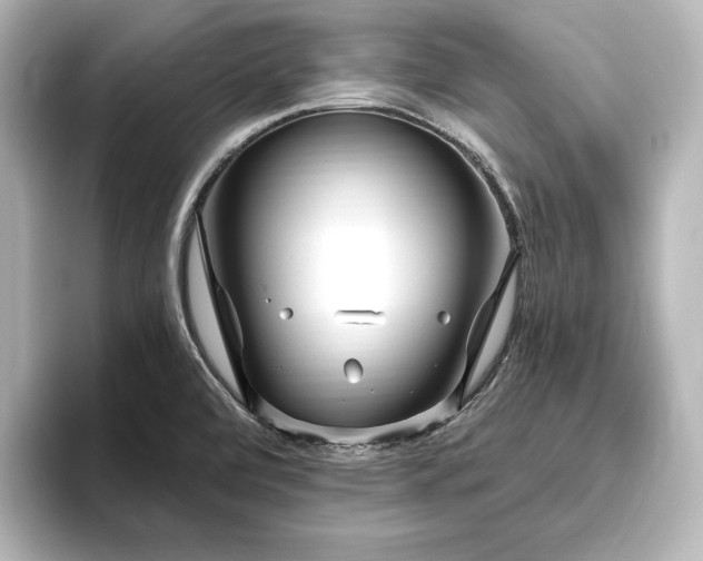 X0000096491472200801241454
