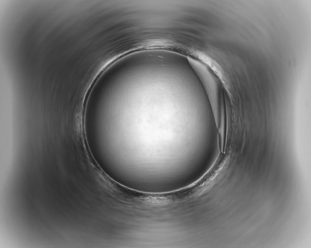 X0000096491473200801241454
