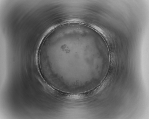 X0000096491474200801241454