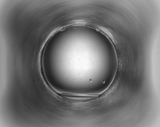 X0000096491475200801241454