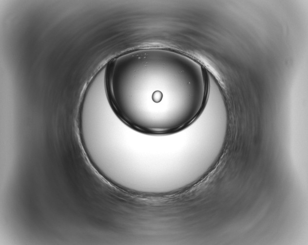 X0000096491476200801241454