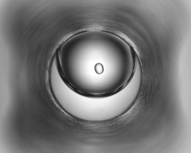X0000096491477200801241454