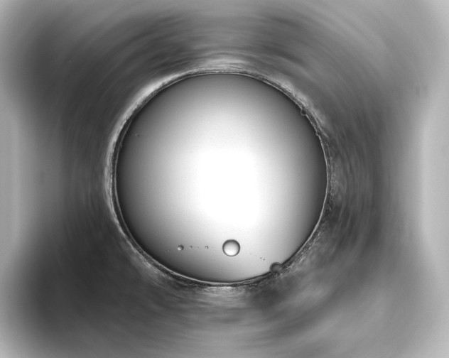 X0000096491478200801241454