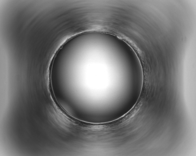 X0000096491479200801241454