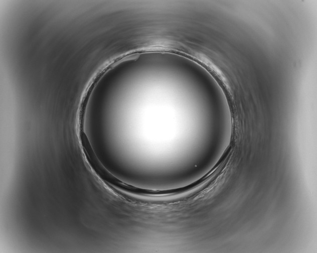 X0000096491480200801241454