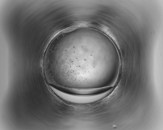 X0000096491481200801241454