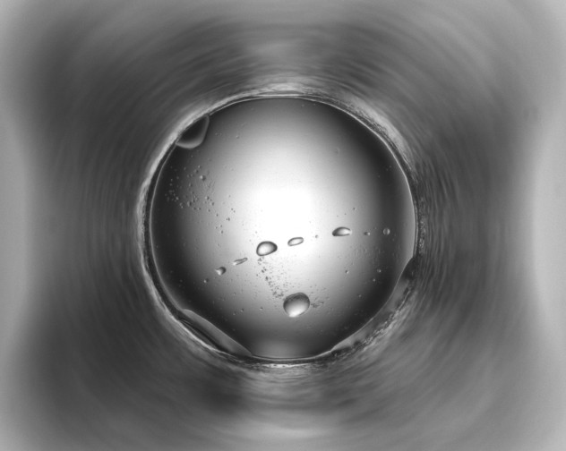 X0000096491483200801241454