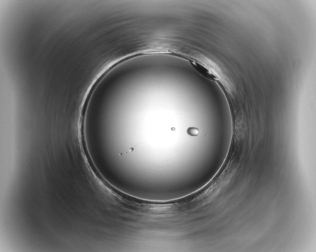 X0000096491484200801241454