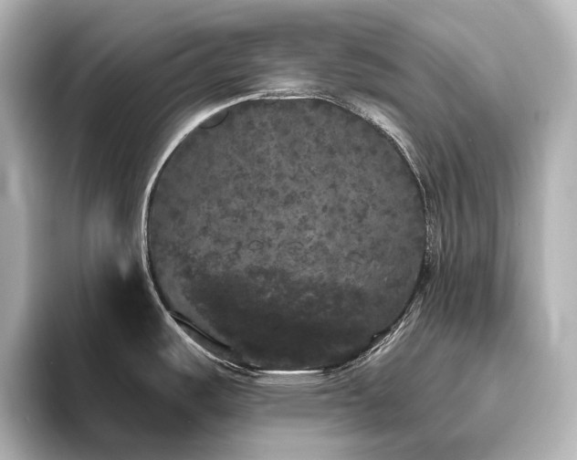 X0000096491487200801241454