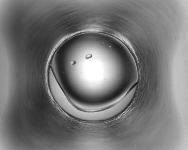 X0000096491488200801241454